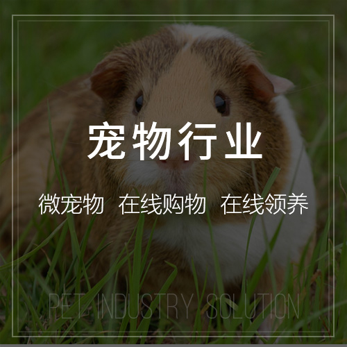 售后服务APP在淄博制造业中的客户黏性提升策略